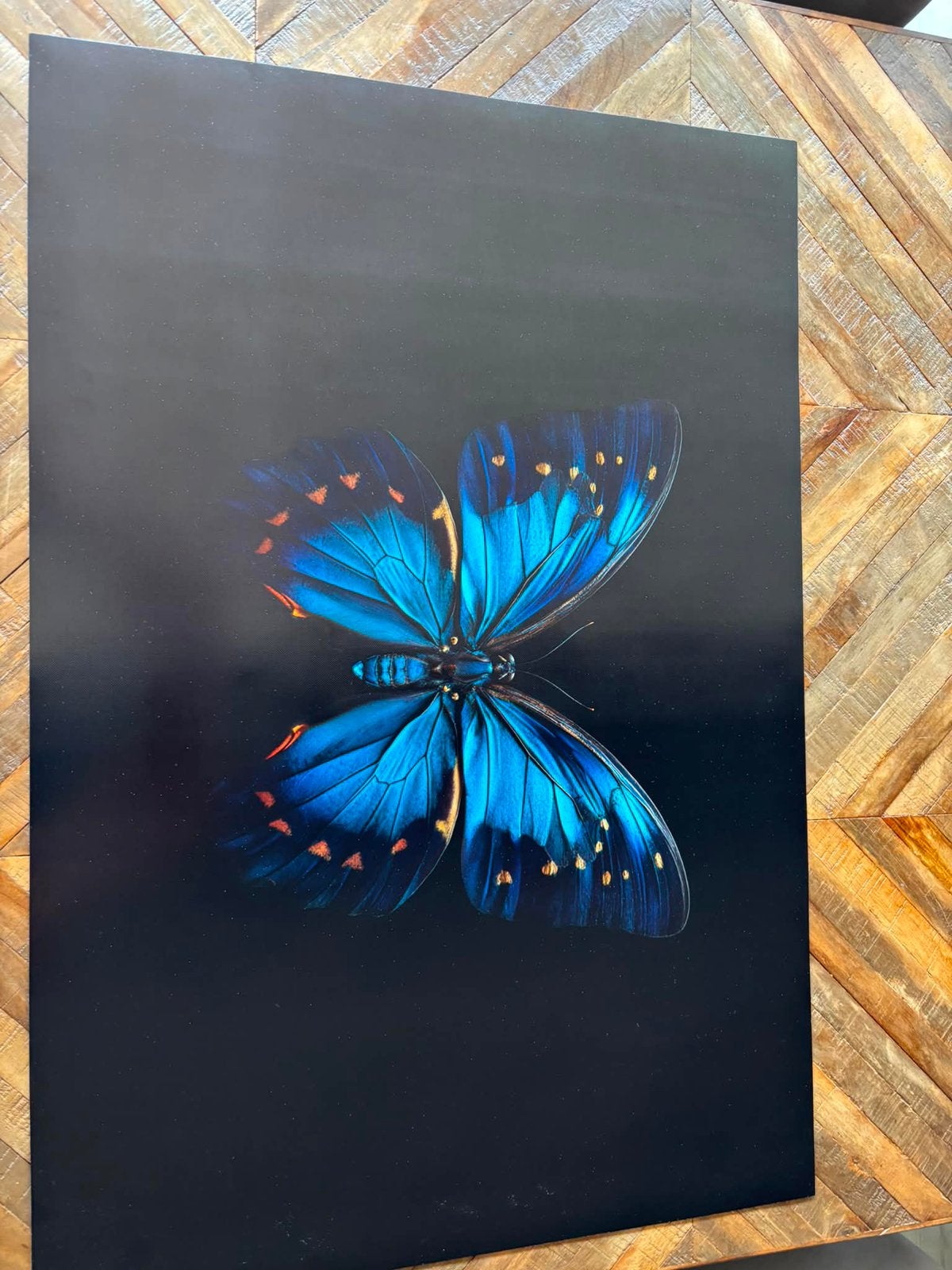 Inductieplaat beschermer, Ophalen of Verzenden, Zo goed als nieuw, Minder dan 50 cm, Schilderij