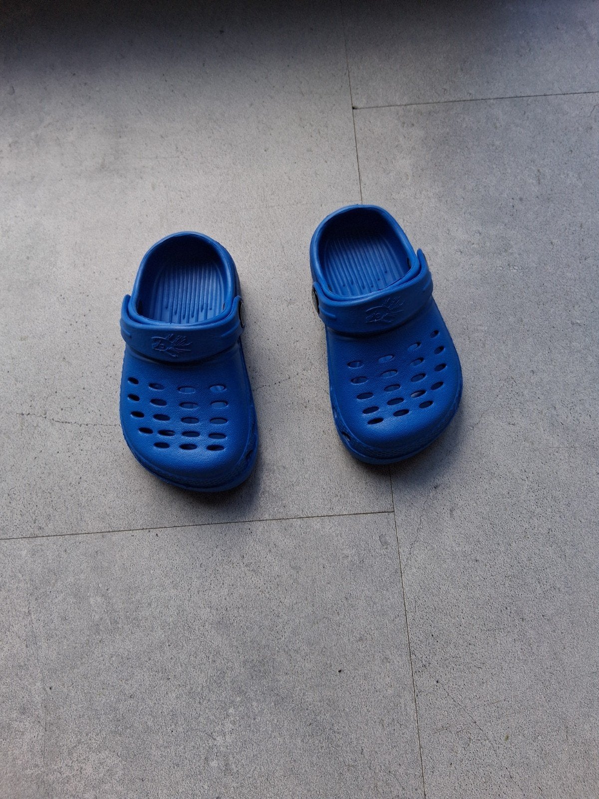 Blauwe Crocs, Blauw, Crocs, Gedragen, Ophalen