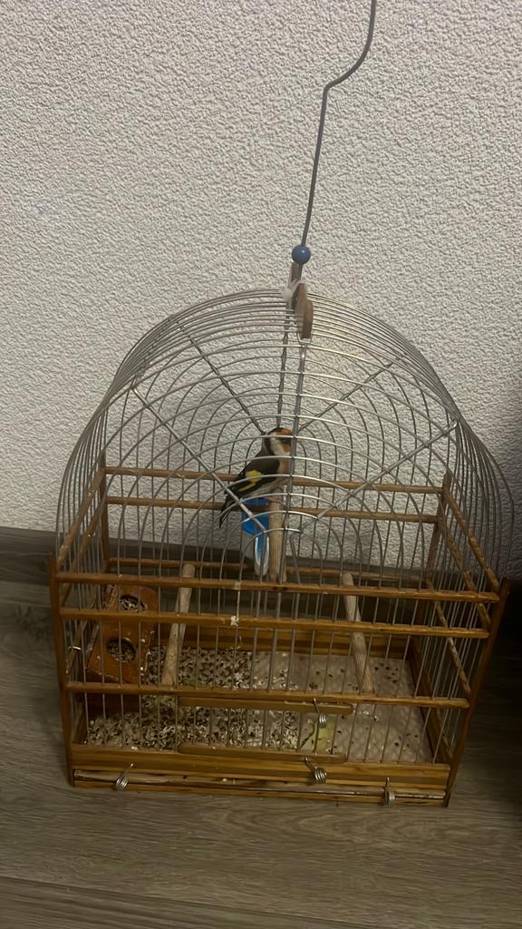 Parva putter man 2025, Dieren en Toebehoren, Ophalen, Zo goed als nieuw, Aluminium, Vogelkooi
