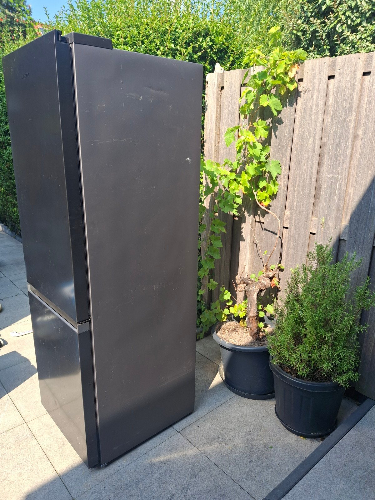 Samsung Koelkast RB34T605CB1 - Z.G.A.N. - Ophalen Wassenaar, 200 liter of meer, Ophalen, Zo goed als nieuw, 160 cm of meer