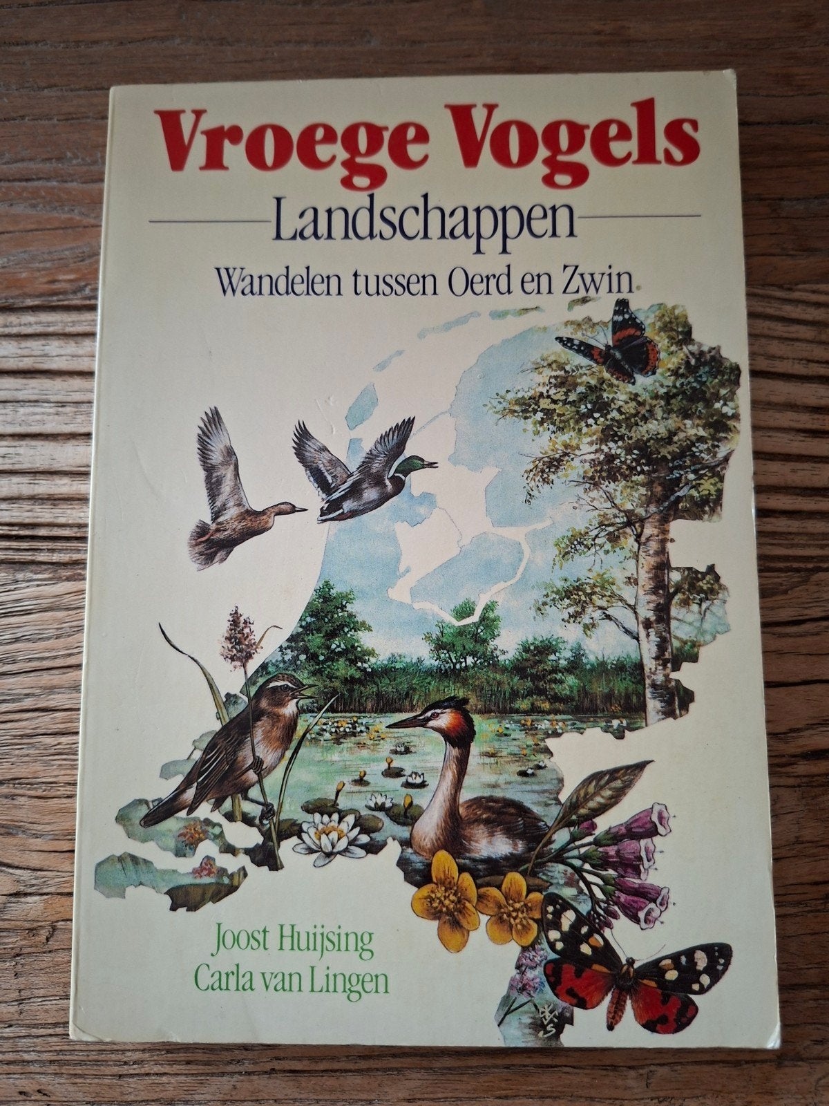 vroege vogels - joost huijsing, Ophalen of Verzenden, Vogels