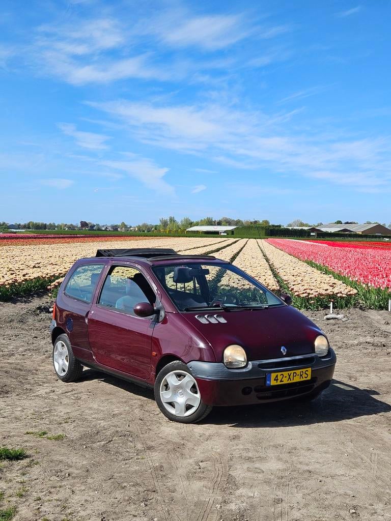 Renault Twingo 1.2 2000 Rood, Auto-onderdelen, Carrosserie en Plaatwerk, Ophalen