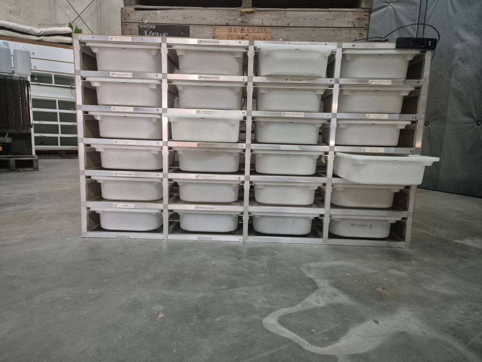 Aluminium rack met 24 bakken, Dieren en Toebehoren, Reptielen en Amfibieën | Toebehoren, Ophalen, Gebruikt