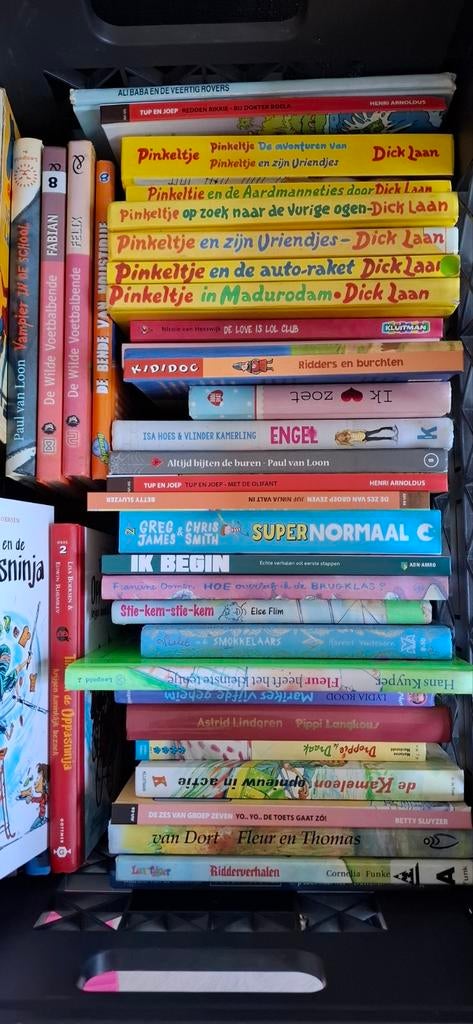 Ca. 30 kinderboeken - Diverse titels en auteurs, Ophalen of Verzenden, Gelezen, Dick Laan, Paul van Loon, Astrid Lindgren, Fictie algemeen