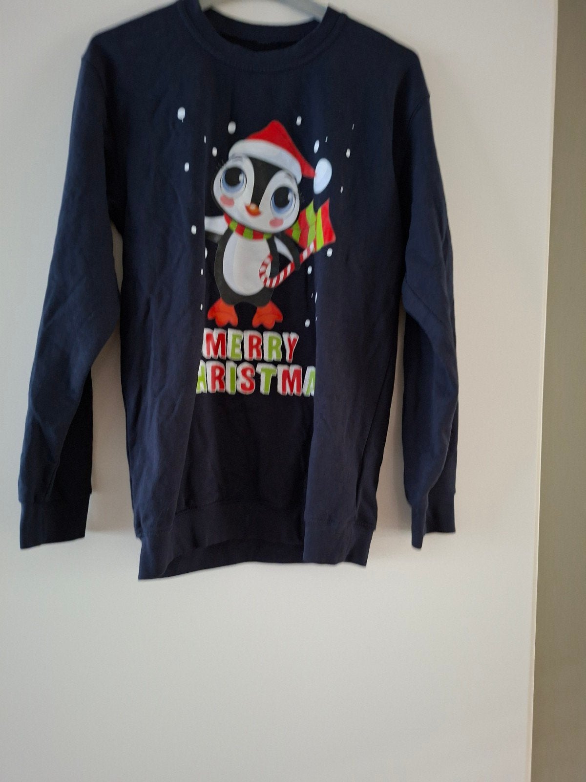 Leuke kersttrui met pinguïn - Maat 12/14, Ophalen of Verzenden, Gebruikt, Onbekend, Jongen of Meisje