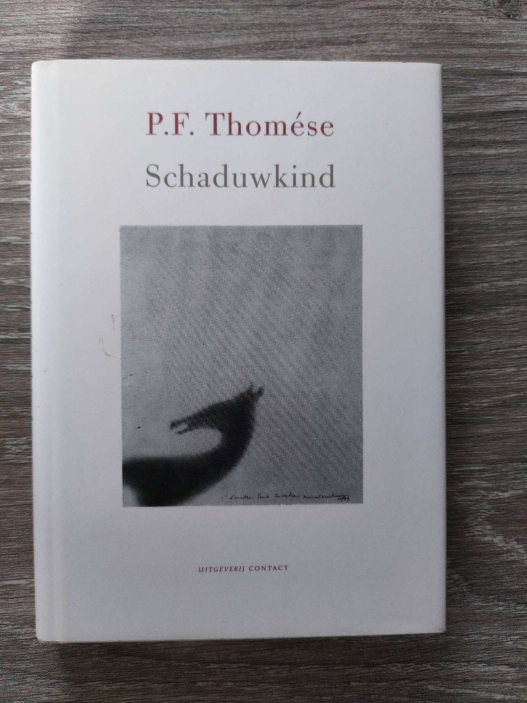 P.F. Thomese - Schaduwkind (over verlies kind), Boeken, Ophalen of Verzenden, Zo goed als nieuw, P.F. Thomese, Eén auteur