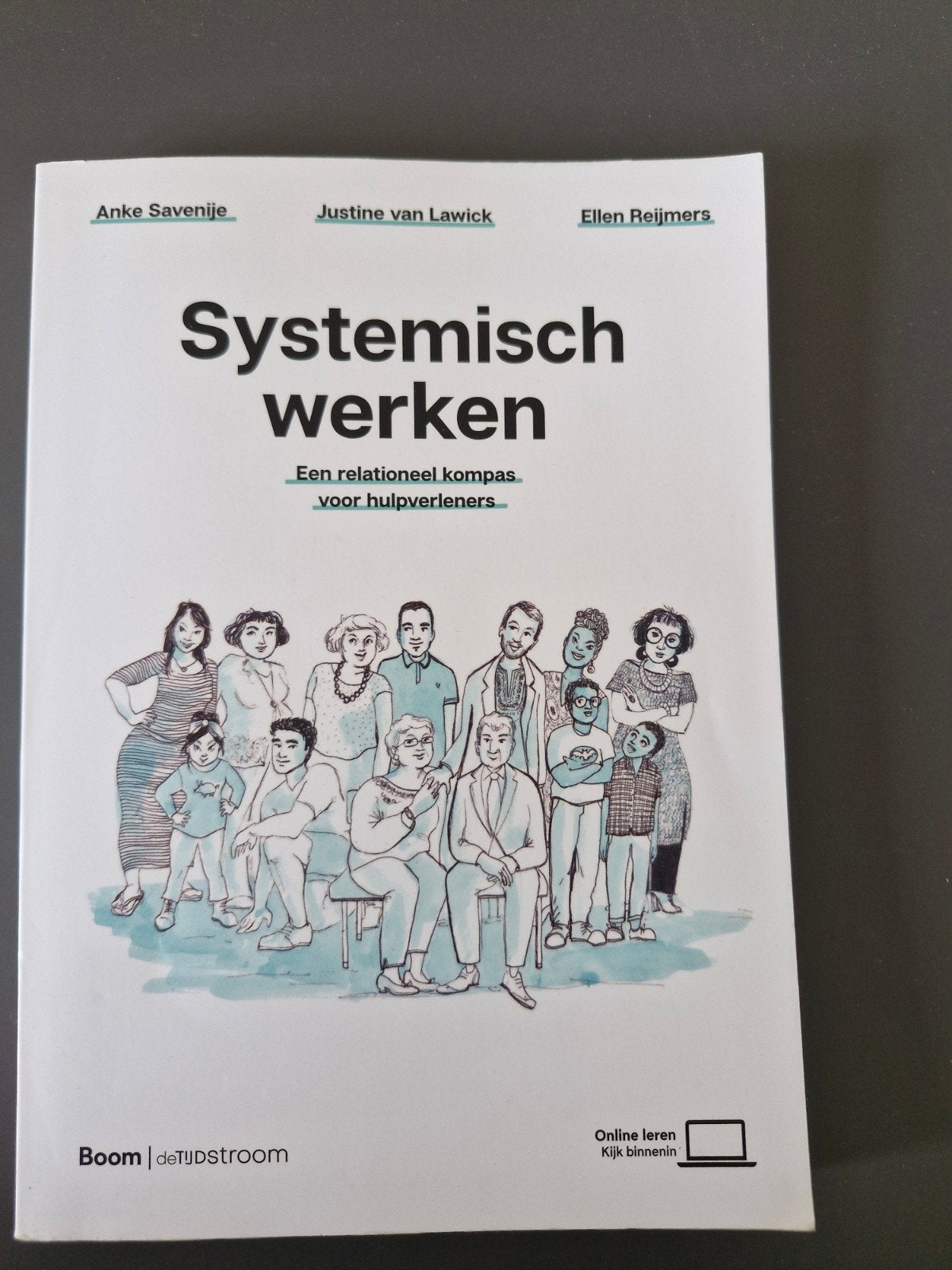 Systemisch werken: relationele kompas voor hulpverleners, Ophalen of Verzenden