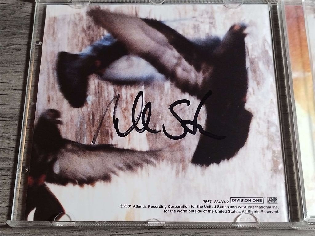 Mike Stern ‎- Voices [gesigneerd], Cd's en Dvd's, Cd's | Rock, Ophalen of Verzenden, Gebruikt, Poprock