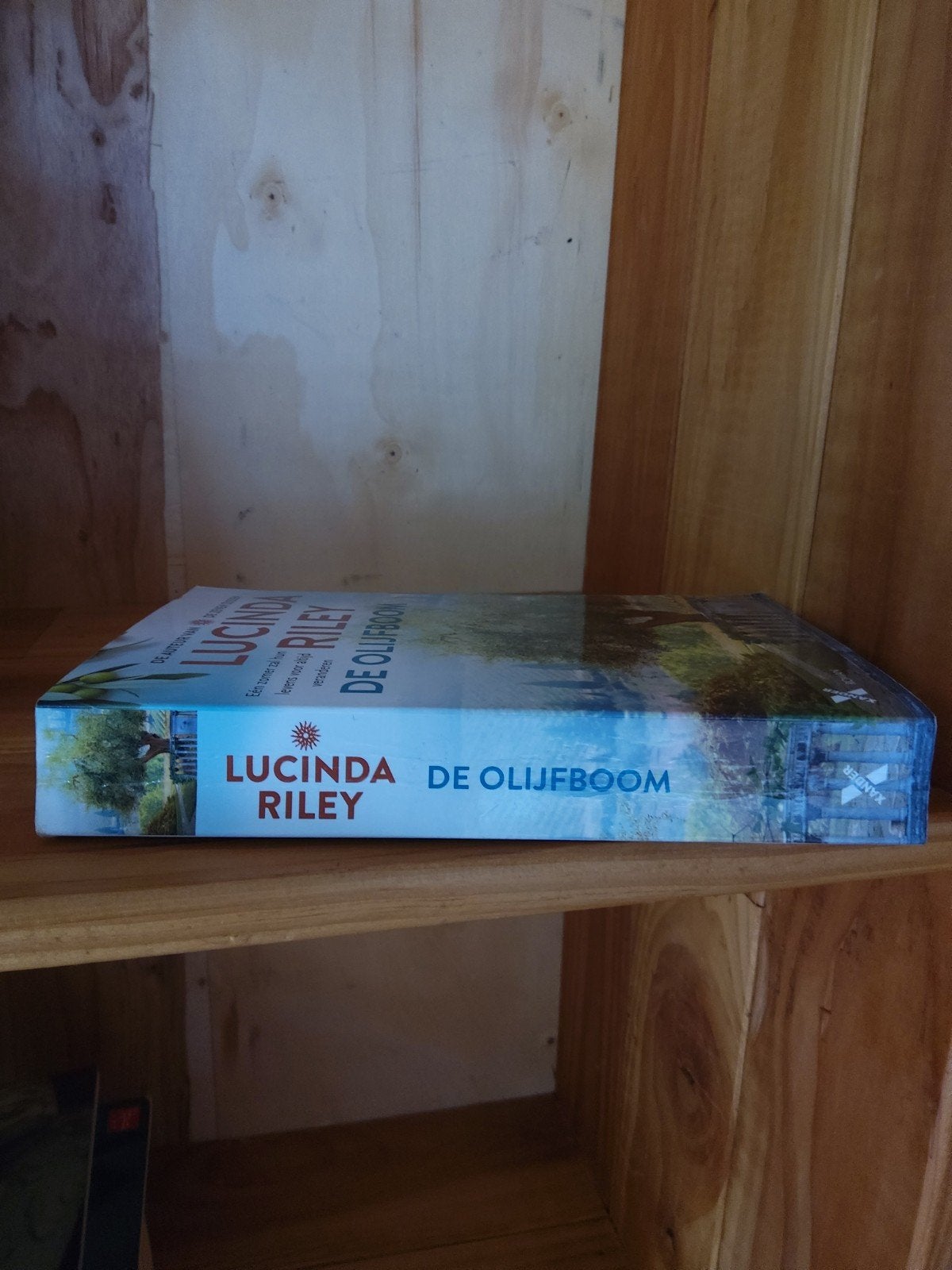De Olijfboom - Lucinda Riley (Roman), Boeken, Ophalen of Verzenden, Zo goed als nieuw, Lucinda Riley