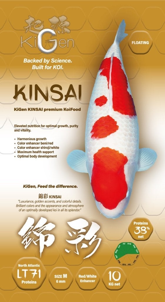 KiGen koivoer, Karper of Koi