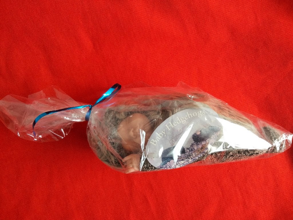 Baby Egel Popje in Zakje - Uniek Cadeau, Verzamelen, Ophalen, Zo goed als nieuw, Babypop, Levensecht of Reborn