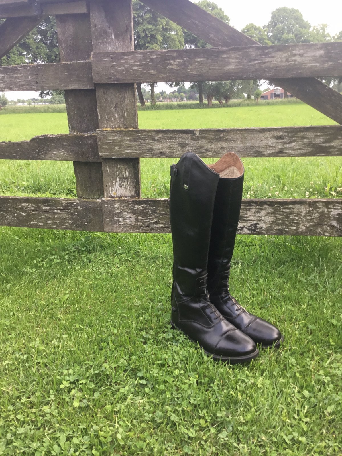 Paardrij laarzen horze, Dieren en Toebehoren, Ophalen, Gebruikt, Dressuur, Kinderen