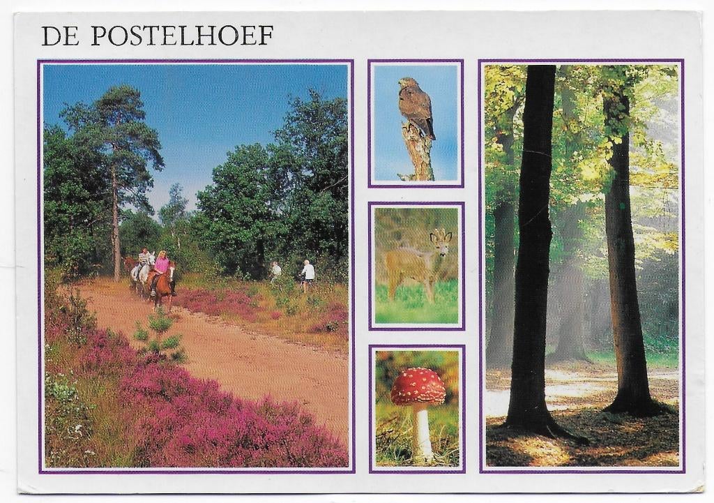 Luyksgestel De Postelhoef Gelopen Ansichtkaart ( B6222 ), Ophalen of Verzenden, 1980 tot heden, Gelopen