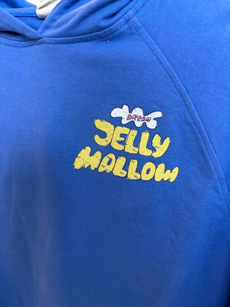 Blauwe hoodie met backprint van Jelly Mallow nieuw maat 140, Ophalen of Verzenden, Nieuw, Jongen of Meisje, Trui of Vest