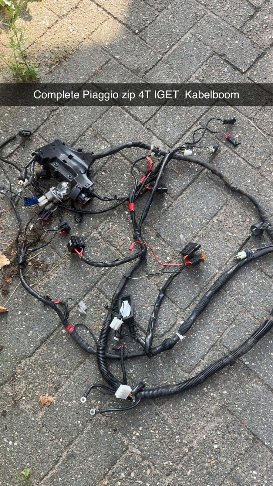 Piaggio zip iget euro 4 kabelboom, Ophalen, Zo goed als nieuw, Overige typen, Piaggio