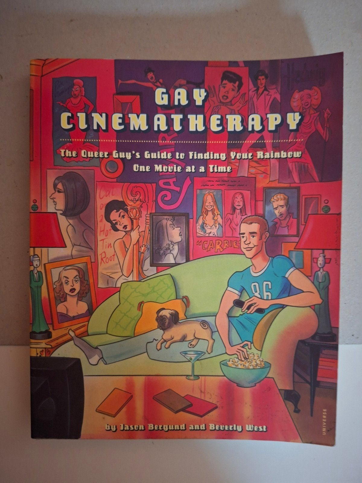 gay cinematherapy jasen bergund gay movies boek, Boeken, Verzenden, Zo goed als nieuw, Overige typen
