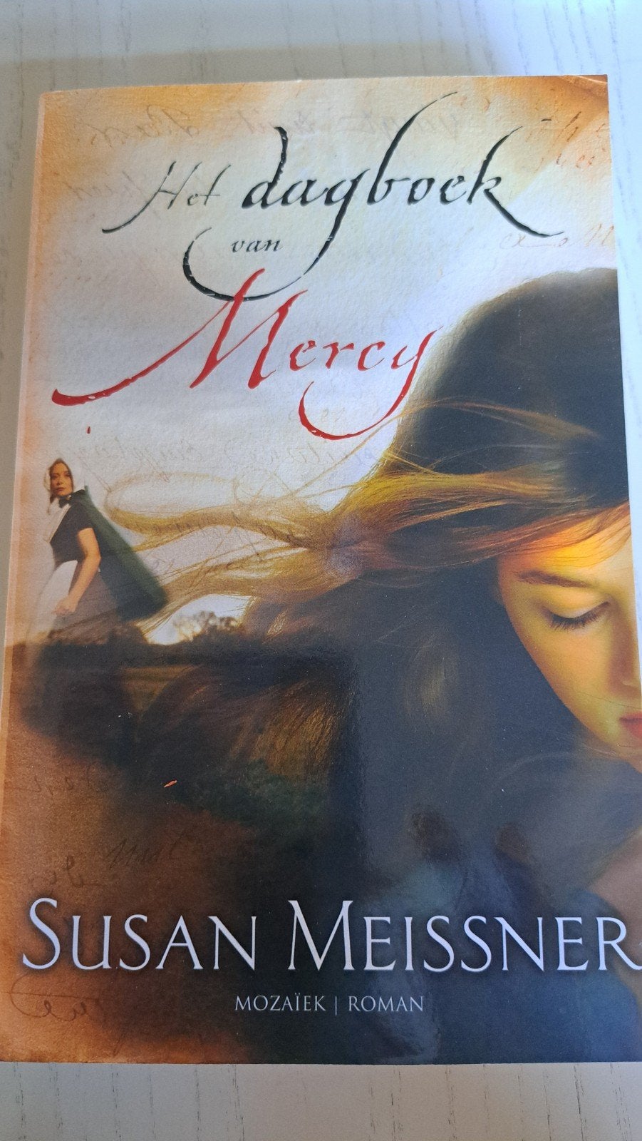 Het dagboek van Mercy - Susan Meissner (Roman), Boeken, Ophalen of Verzenden, Gelezen, Susan Meissner, Amerika