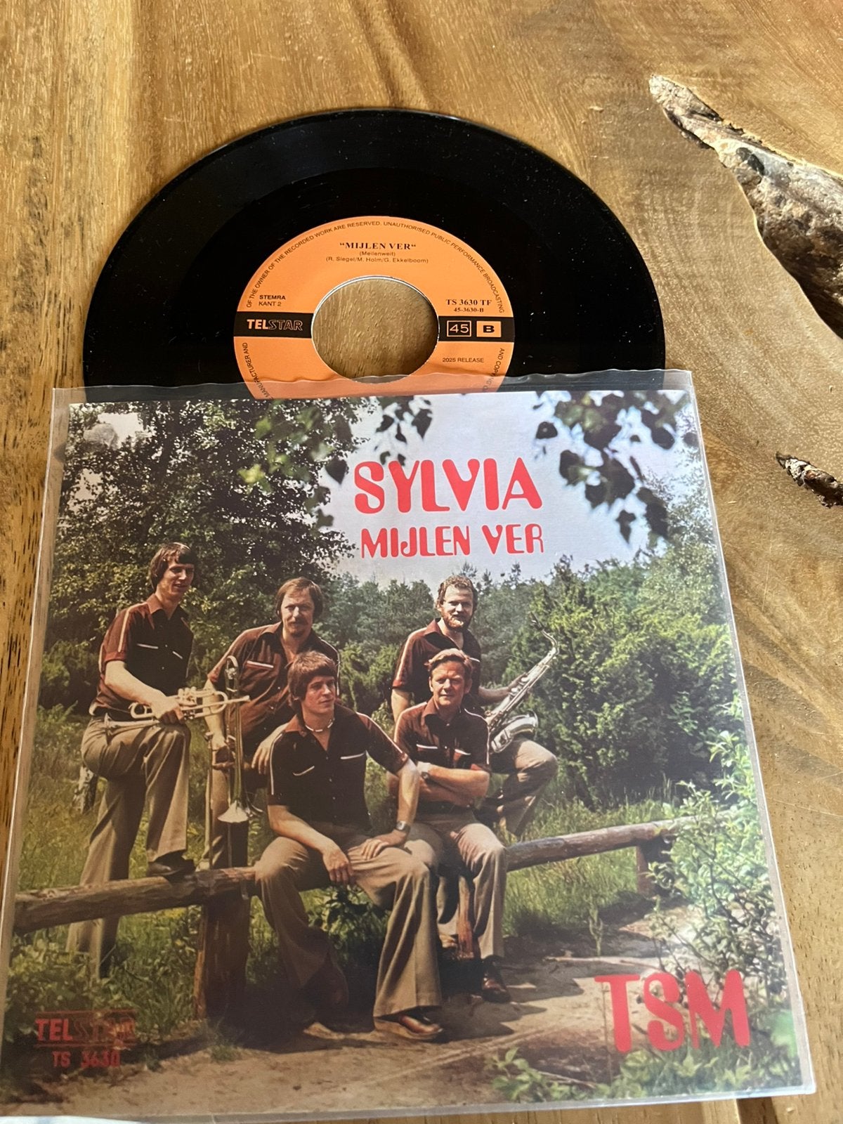 Sylvia (NIEUWDRUK), Ophalen of Verzenden, Zo goed als nieuw, Overige formaten, Levenslied of Smartlap