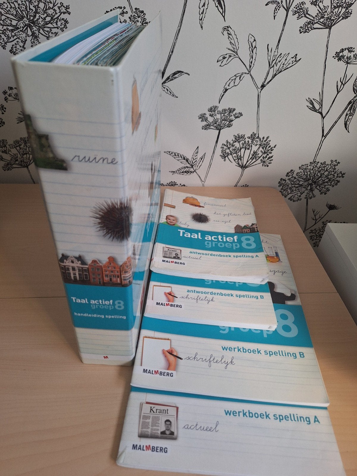 Taal actief groep 8 spelling compleet pakket, Ophalen of Verzenden, Gelezen, Overige niveaus, Nederlands