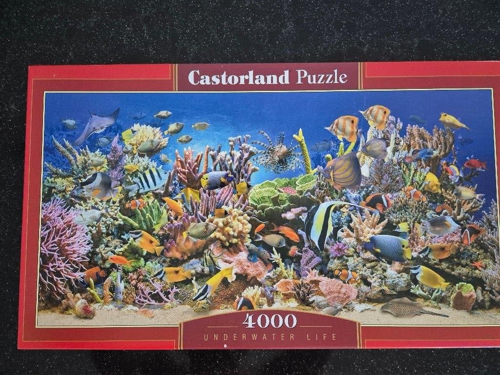 Te koop legpuzzel Castorland, Underwater life, Ophalen of Verzenden, Meer dan 1500 stukjes, Zo goed als nieuw, Legpuzzel