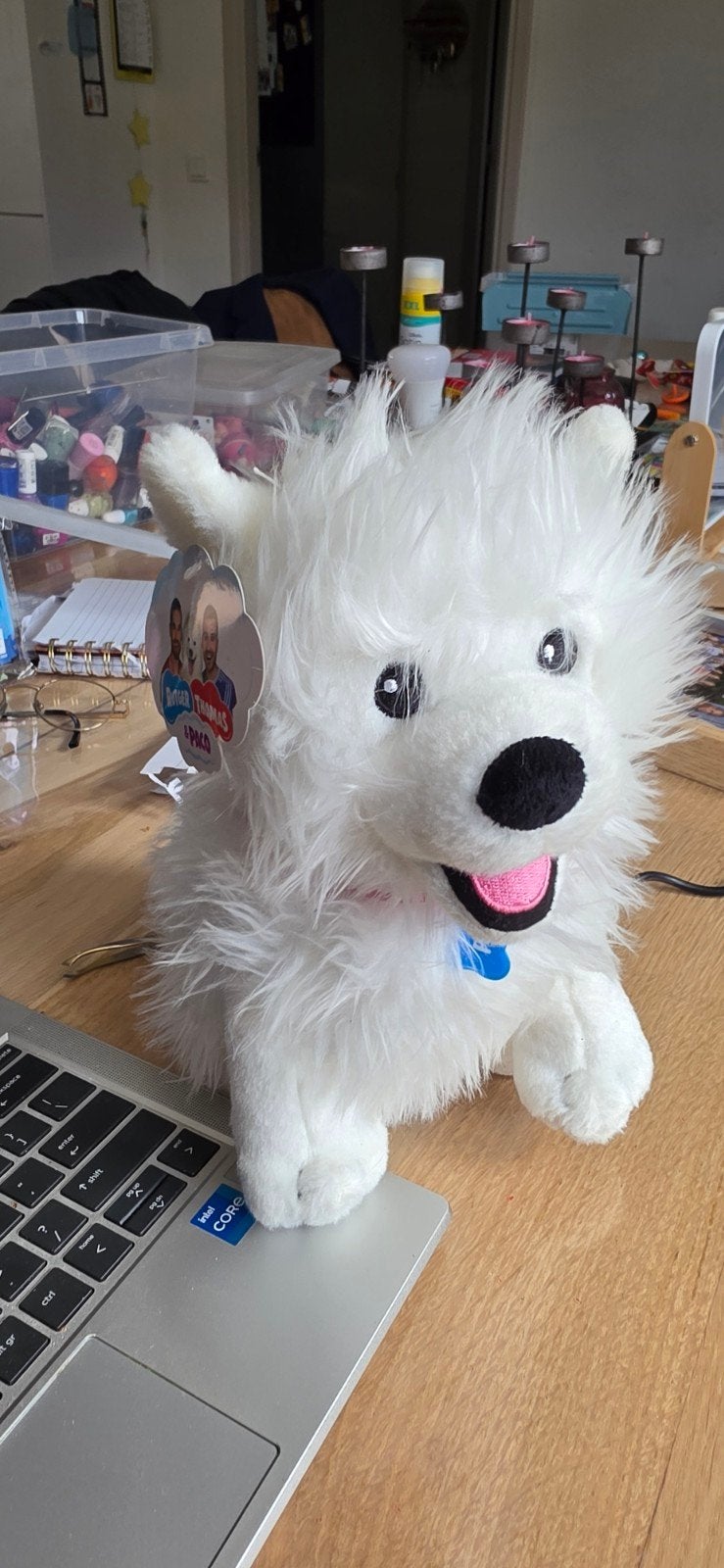 Knuffel Paco van Roger & Thomas, Overige merken, Overige karakters, Middelgroot (20 tot 80 cm), Wit