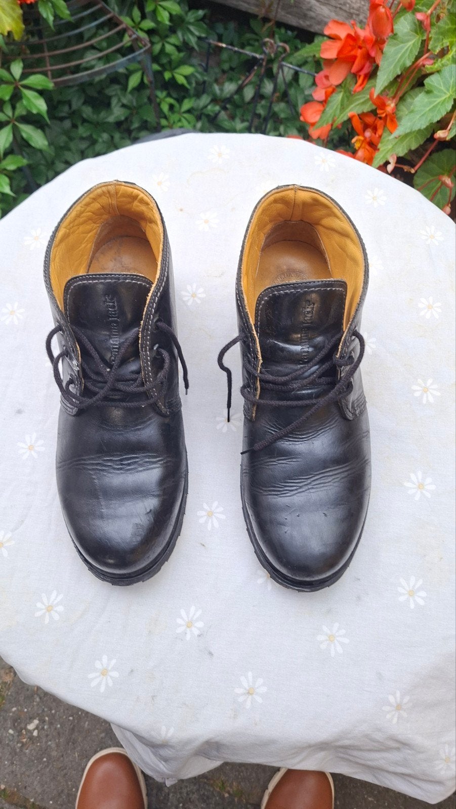 Te koop schoenen merk, panama jack, Zwart, Ophalen of Verzenden, Zo goed als nieuw, Panama Jack