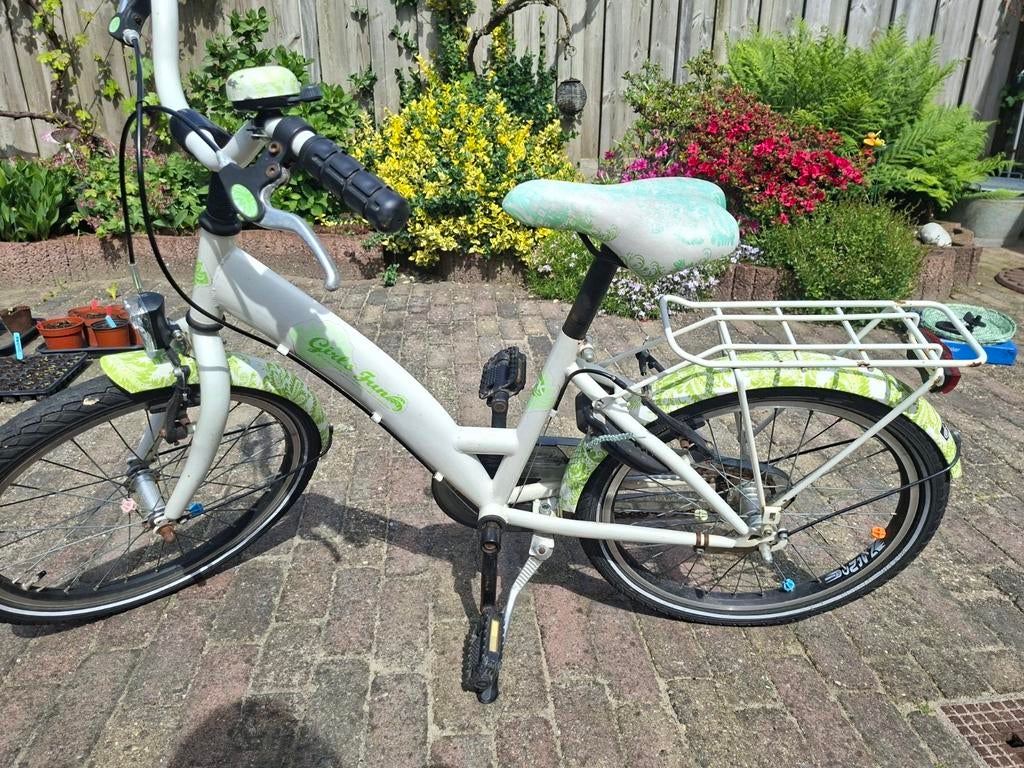Mooie 20 inch meisjesfiets wit/groen met bagagedrager, Ophalen of Verzenden