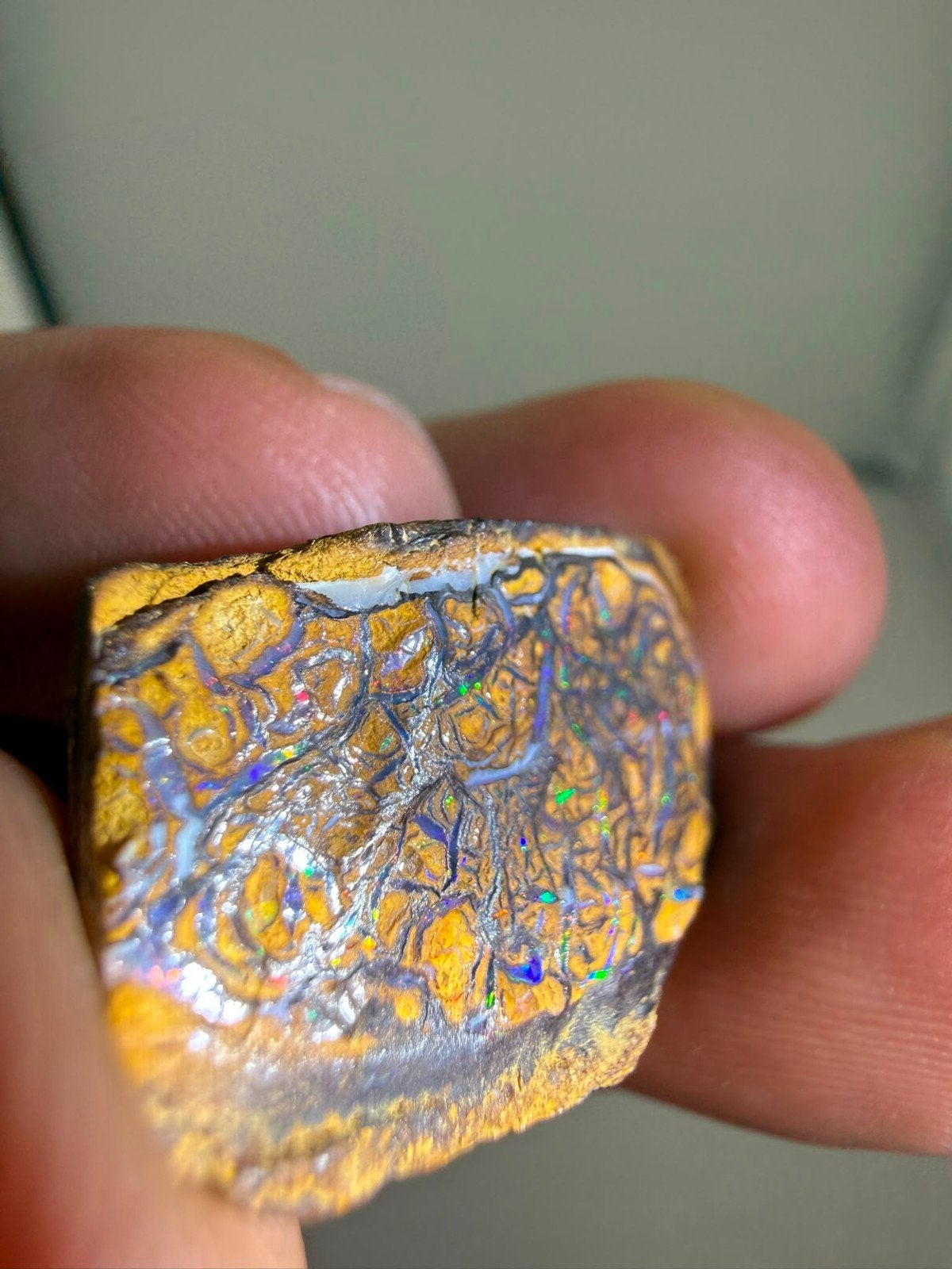 Boulder Opaal N738 - 22 karaat - 24x16x8mm, Natuurlijke Edelstenen, Nieuw, Ophalen of Verzenden, Opaalstraat 10, 1234 AB Edelstad