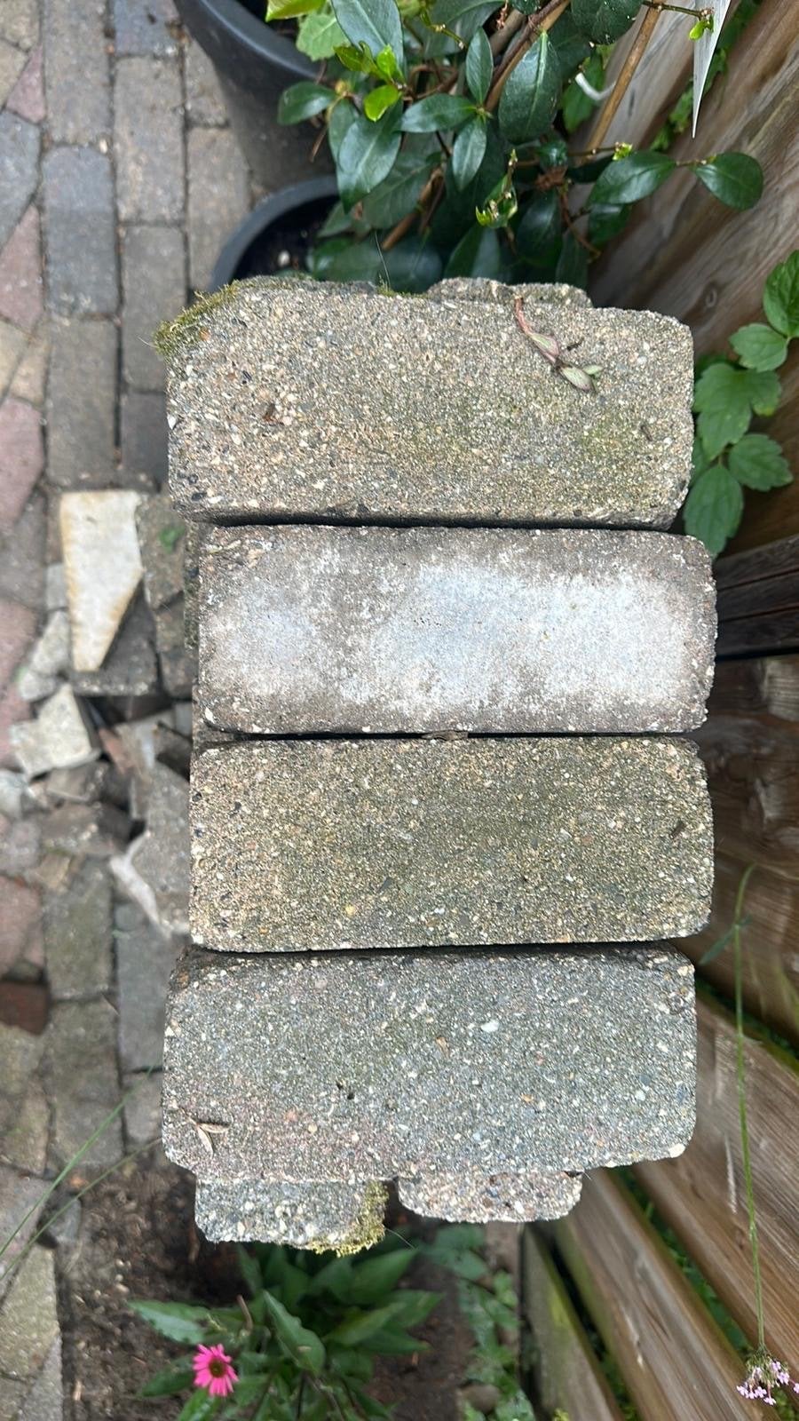 Gebruikte betonnen klinkers voor tuin of terras, Tuin en Terras, Ophalen, Gebruikt, Klinkers, Minder dan 5 m²