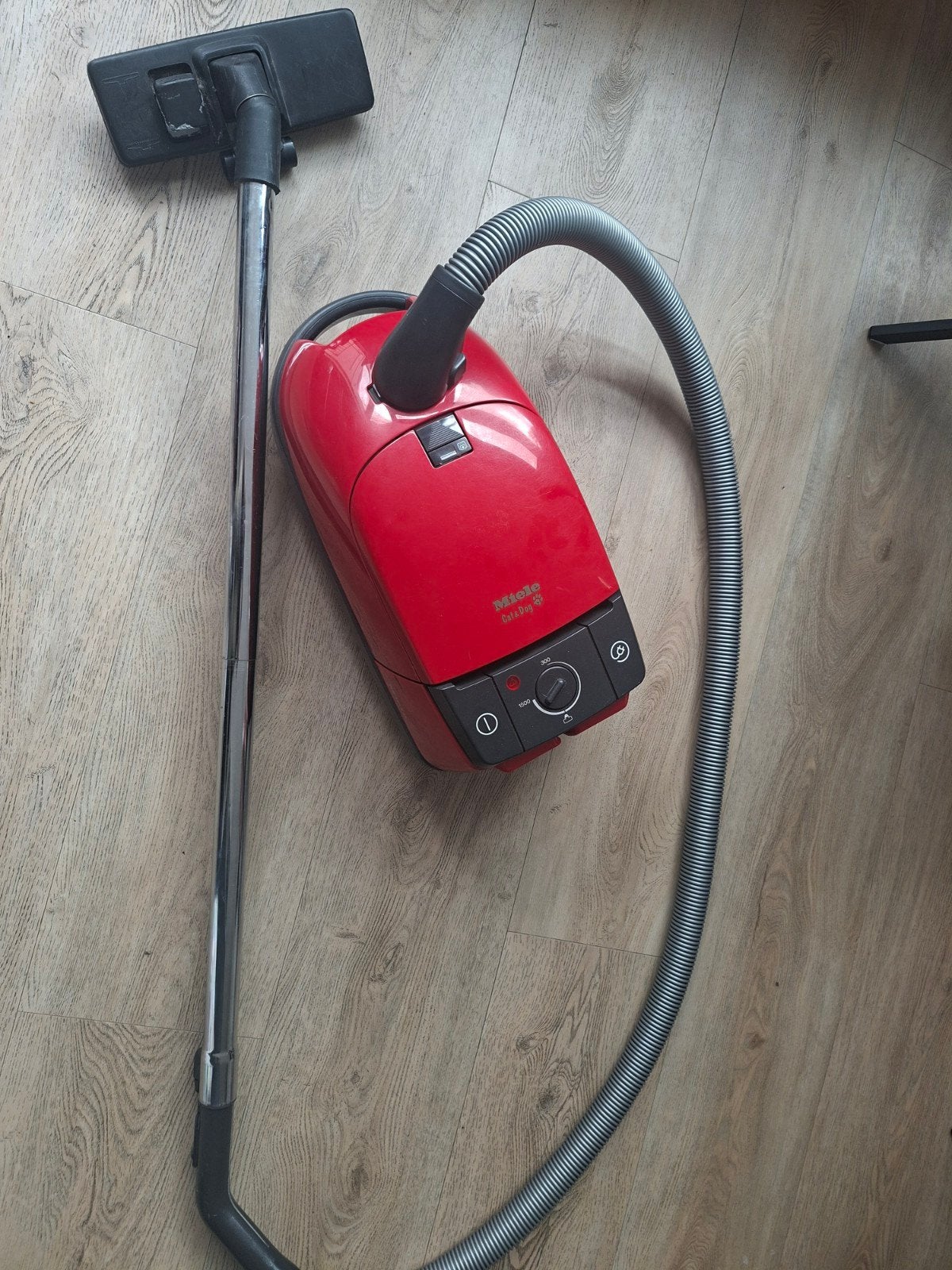 Miele Cat & Dog stofzuiger - Krachtige reiniging, Gebruikt, Miele, Geschikt voor harde vloeren, Sledestofzuiger