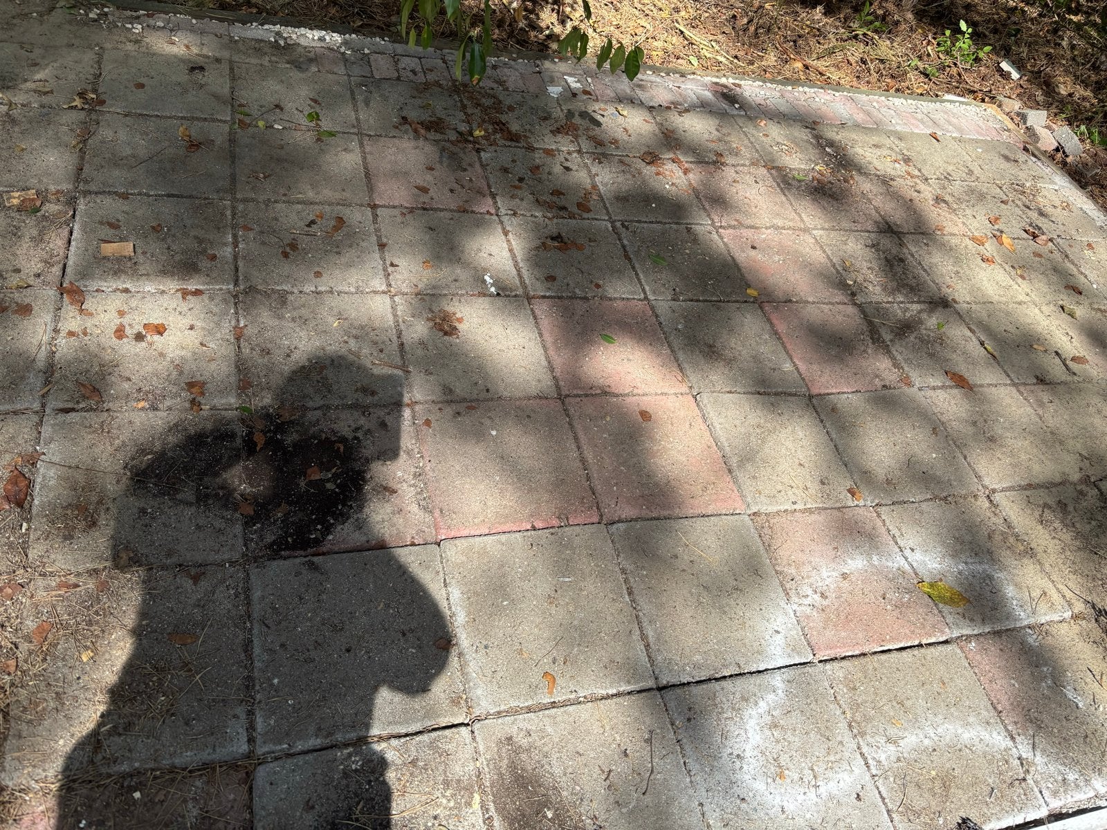 Gebruikte terrastegels - Beton - Diverse kleuren, Ophalen, Gebruikt, 5 tot 10 m², Beton