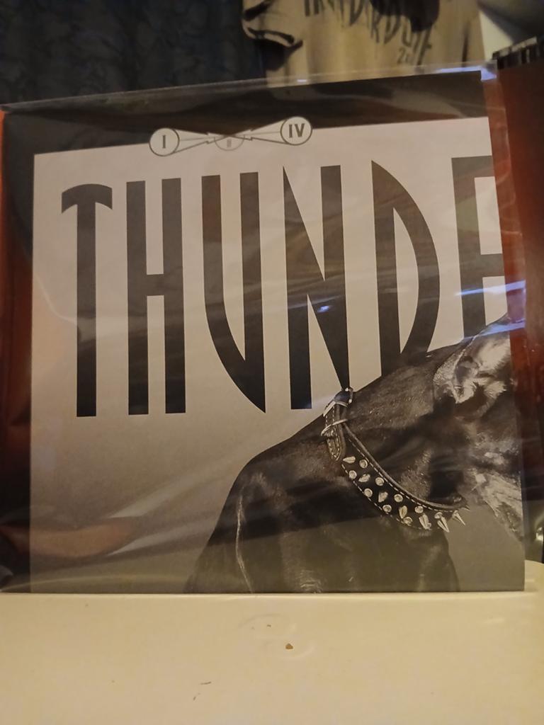 Thunderdome vinyl series 1/4, Cd's en Dvd's, Vinyl | Dance en House, Ophalen of Verzenden, Zo goed als nieuw, 12 inch