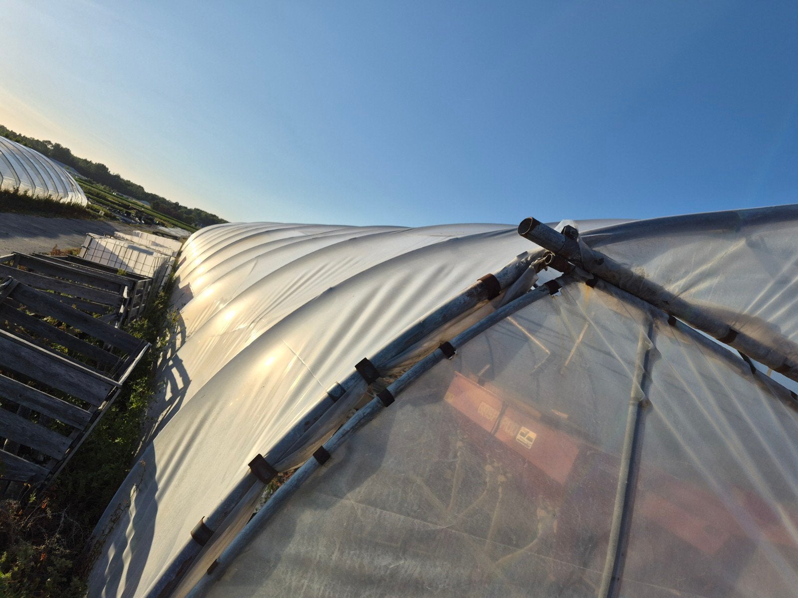 Grote tunnelkas voor tuinbouw of opslag, Gebruikt, Folie, Kweekkas, Ophalen