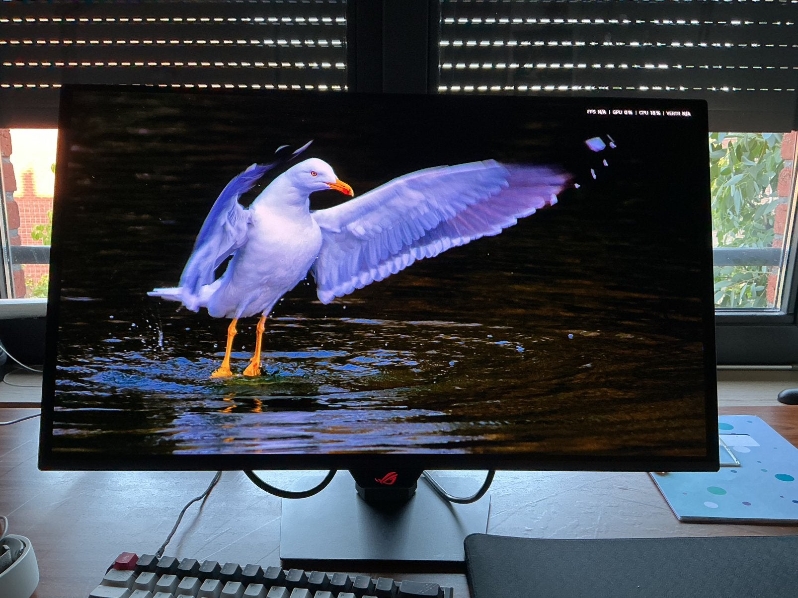 ASUS ROG Strix XG27ACDMS 280Hz QD-OLED | Originele doos, Computers en Software, Monitoren, Zo goed als nieuw, 201 Hz of meer, USB-C