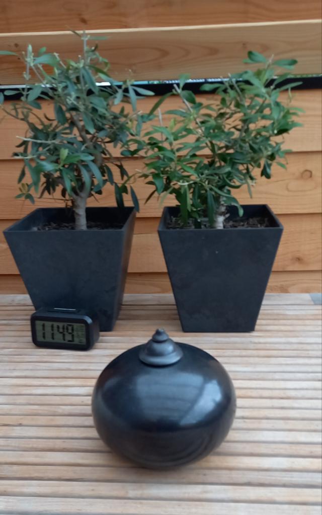 Olielamp, Ophalen, Zo goed als nieuw