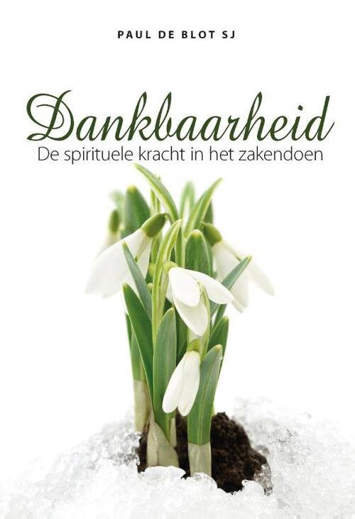 Gezocht boek paul de blot - dankbaarheid, Ophalen of Verzenden, Zo goed als nieuw