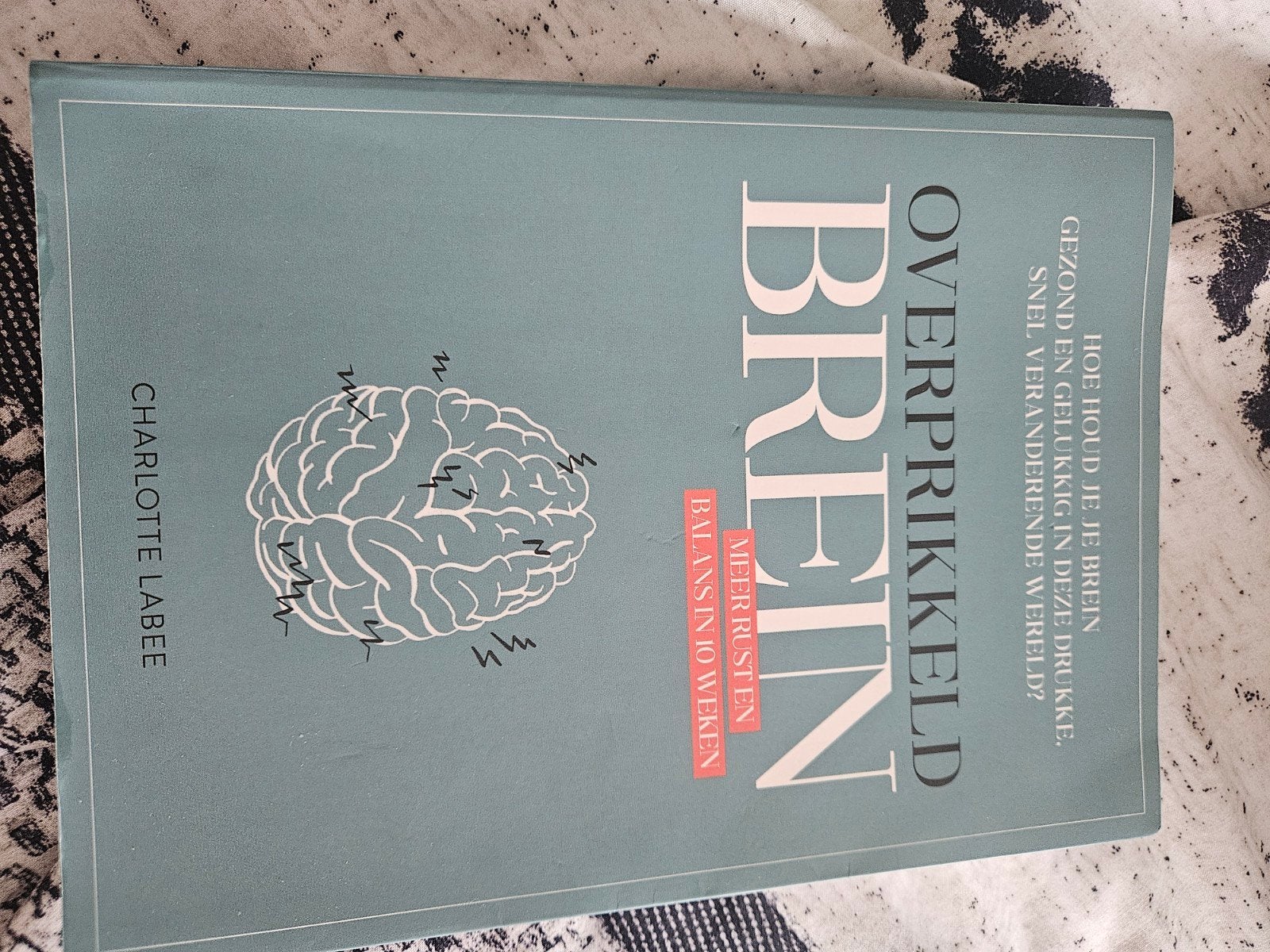 Overprikkeld Brein: Charlotte Labee, Ophalen of Verzenden