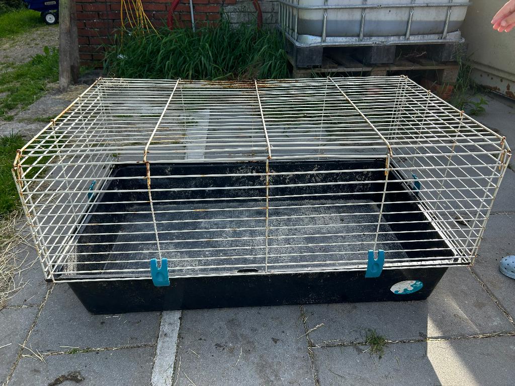 Konijnenkooi, Kooi, Gebruikt, 75 tot 110 cm, Ophalen