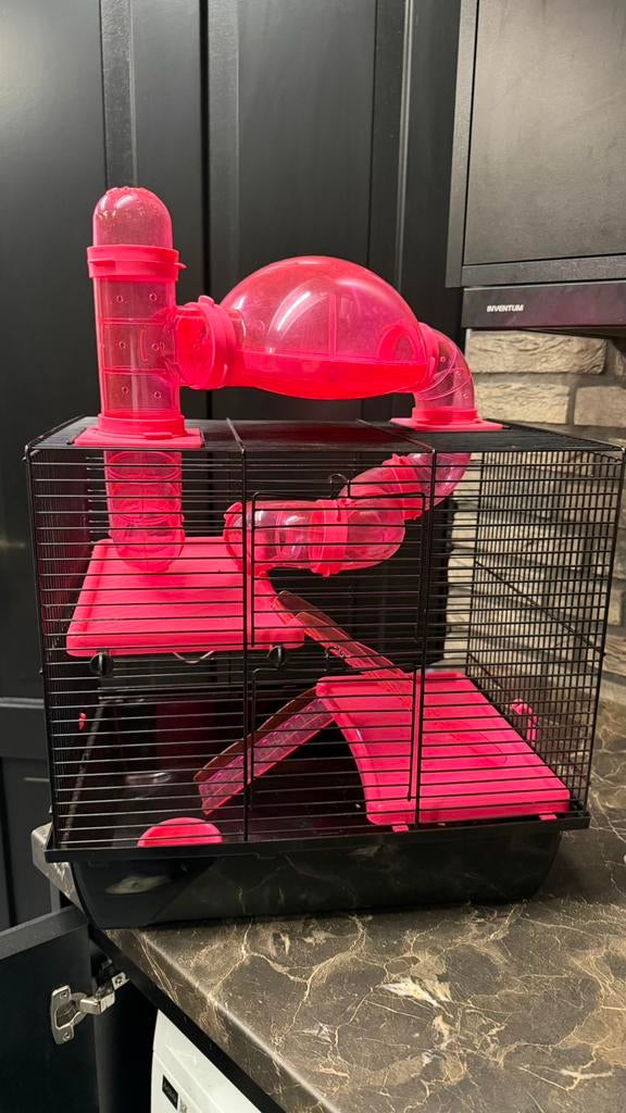 Hamsterkooi, Dieren en Toebehoren, Knaagdieren en Konijnen | Hokken en Kooien, Kooi, Minder dan 75 cm, Zo goed als nieuw, Ophalen