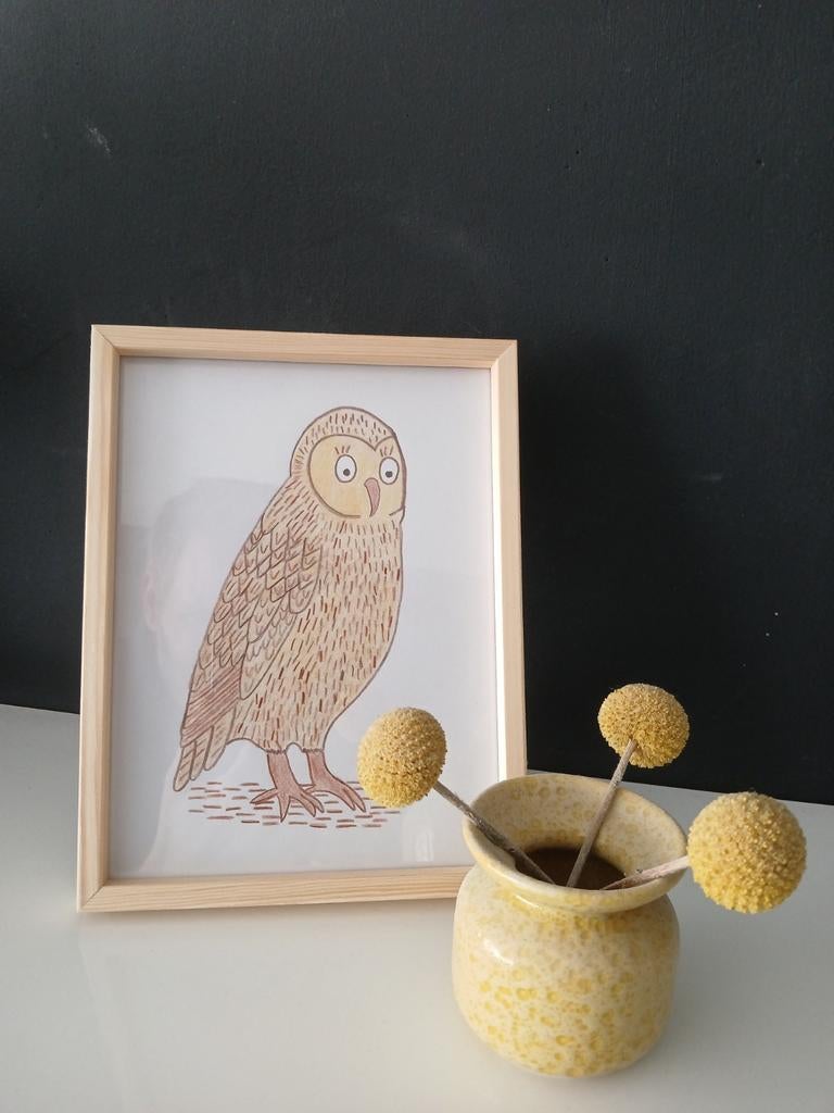 Fotolijstje met afbeelding van Uil, 21 cm, 18 cm, Schilderij, Meerkleurig