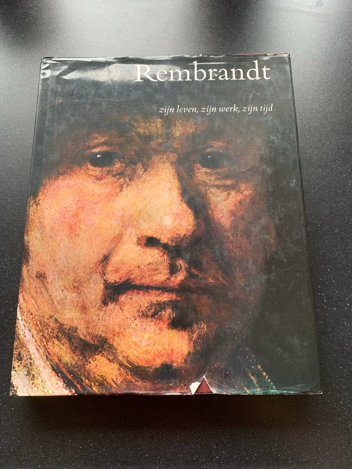 Rembrandt: zijn leven, zijn werk, zijn tijd - B. Haak, Ophalen of Verzenden, Gelezen, Schilder- en Tekenkunst