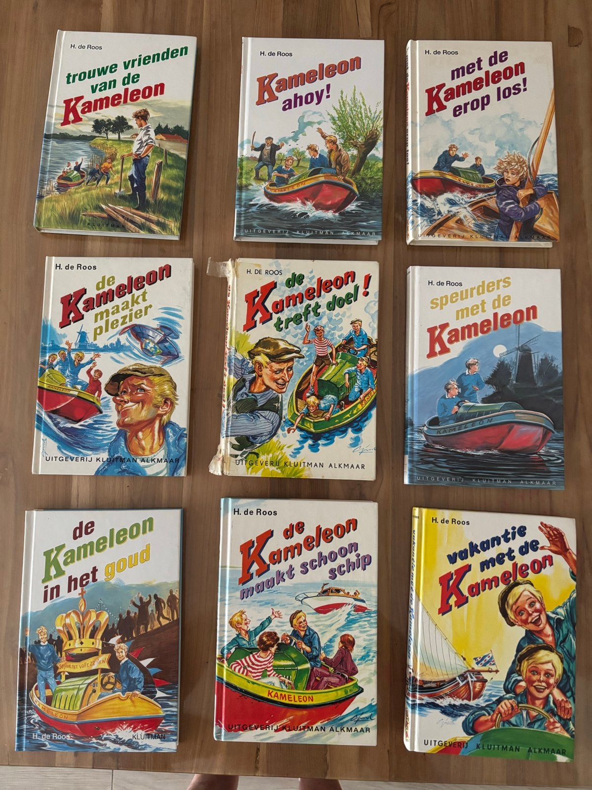De Kameleon Boekenreeks - H. de Roos (9 delen), Ophalen, Gelezen, Fictie algemeen