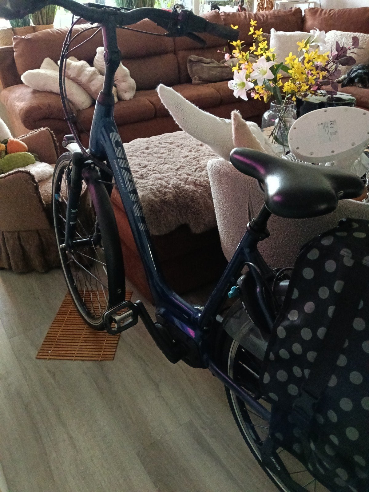 elektrische fiets, Ophalen, Zo goed als nieuw, Overige merken