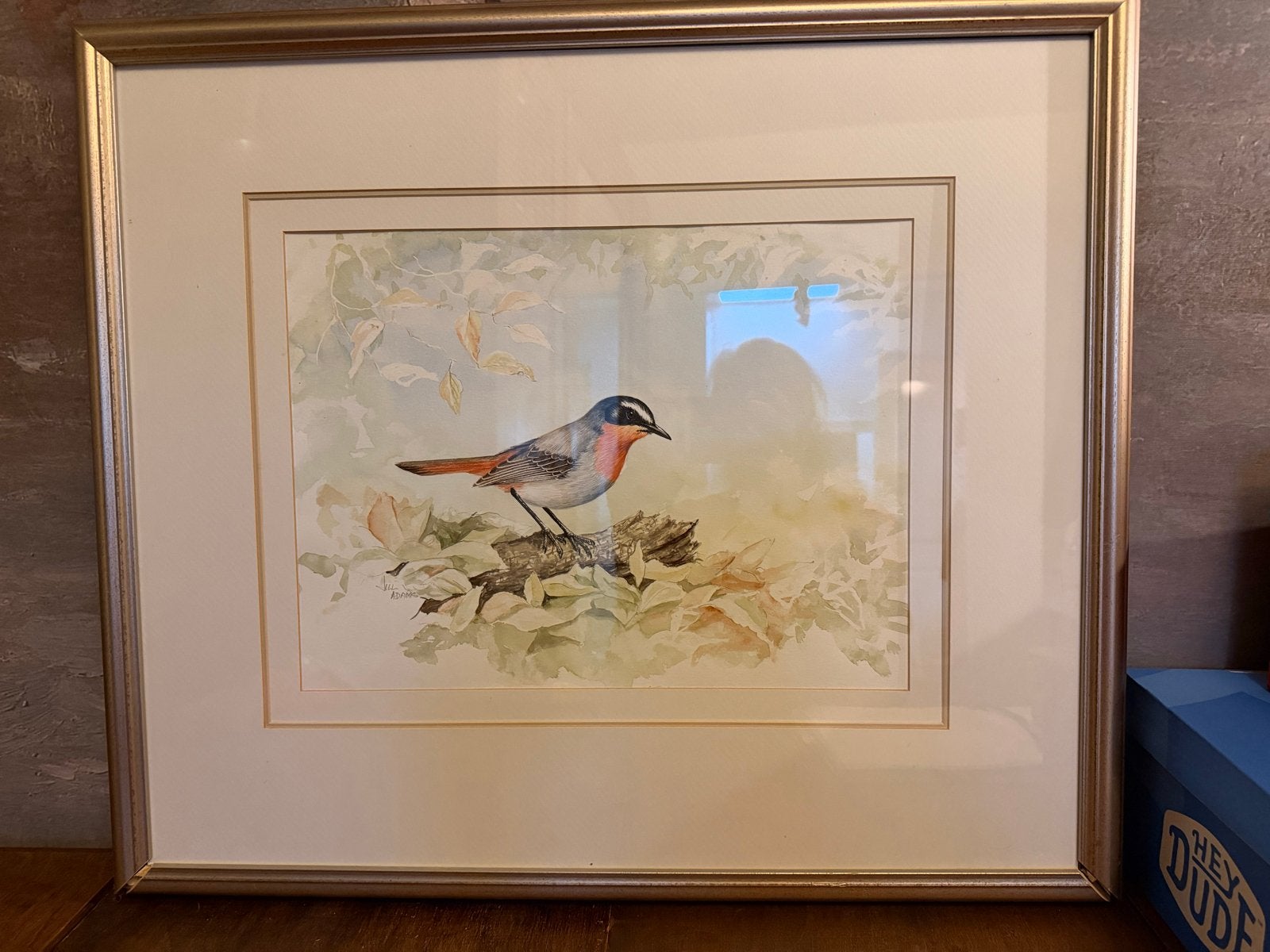 Prachtige aquarel van Jill Adams: Kaapse lawaaimaker, Realistisch, Gesigneerd, Dieren, Ophalen of Verzenden