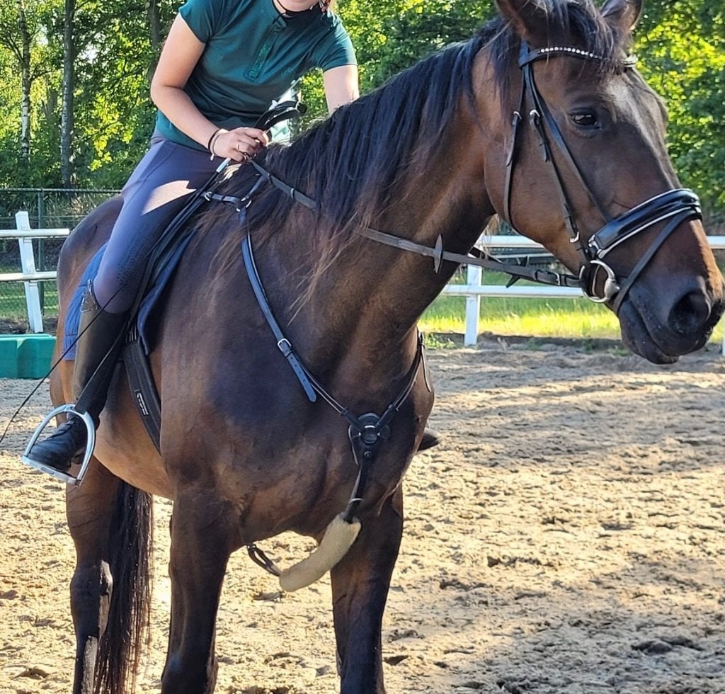 COMPLETE SET, zadel, hoofdstel, dekjes, borsttuig, Dieren en Toebehoren, Paarden en Pony's | Zadels, Vlakke zit, Wijd, M (17 inch)