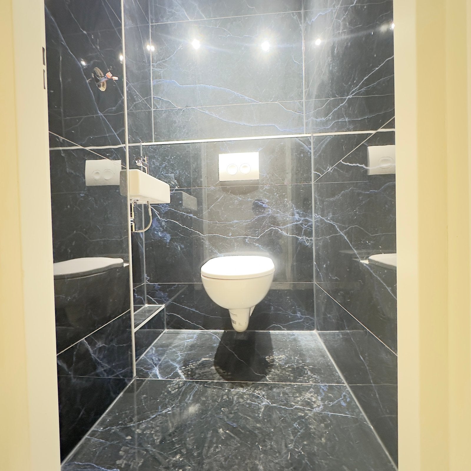 Complete Toilet  renovatie