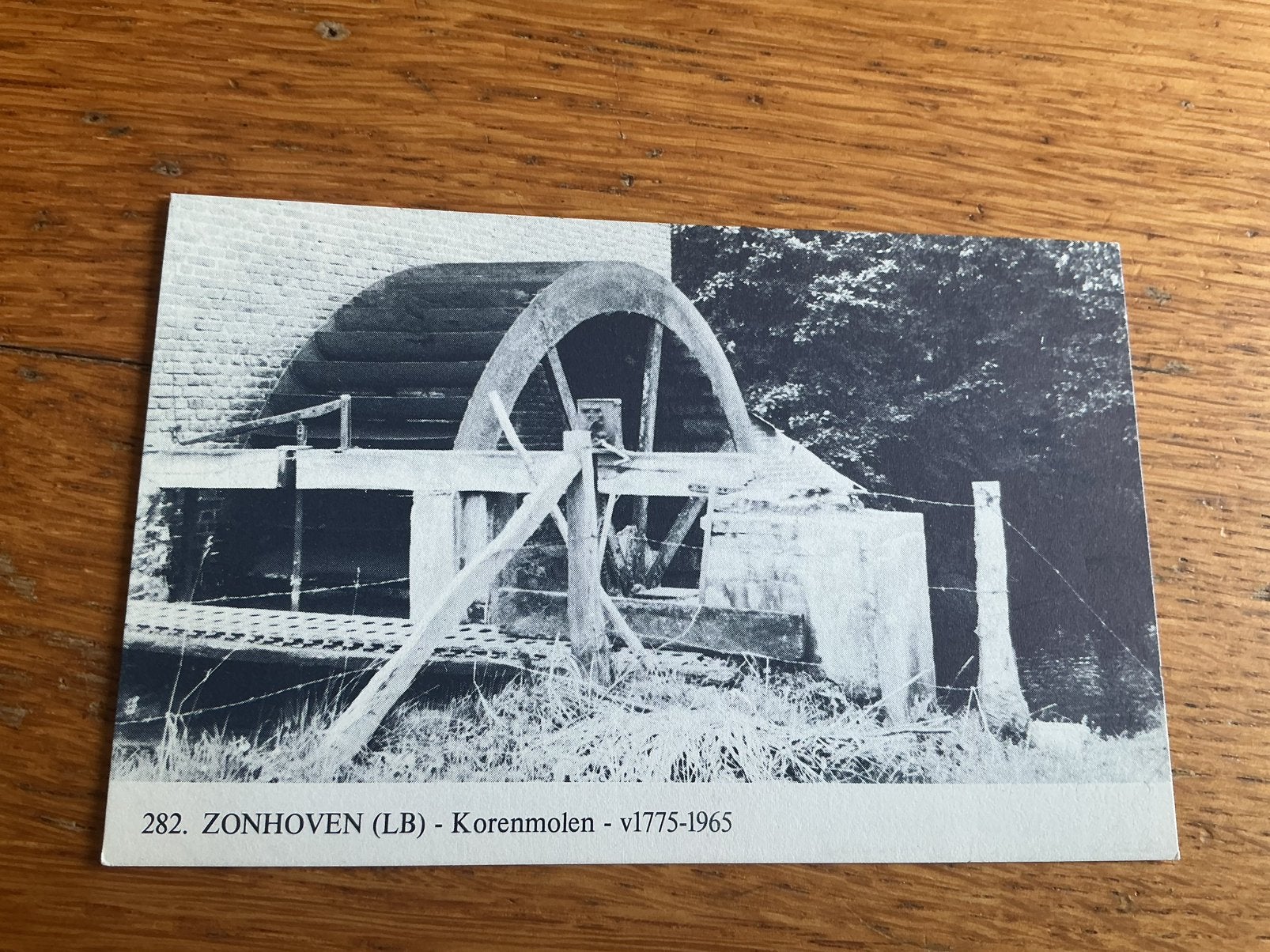 V346 Zonhoven molen, Verzamelen, Ansichtkaarten | België, Ophalen of Verzenden