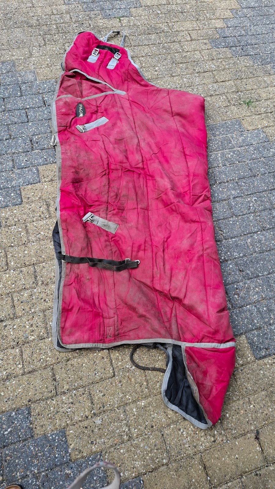 mooie paardendeken pagony, Ophalen of Verzenden, Gebruikt