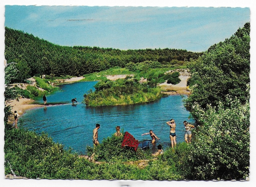 Domaniale Bossen Zeeland Gelopen Ansichtkaart ( B5930 ), Verzamelen, Ophalen of Verzenden, 1980 tot heden, Gelopen, Zeeland
