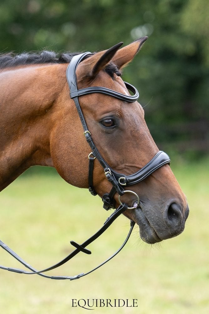 Equibridle Wendy, Dieren en Toebehoren, Hoofdstel, Ophalen of Verzenden, Zacht onderlegd, Full